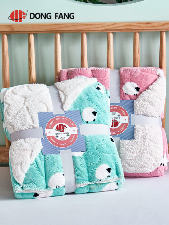 PV plush 2 layers blanket DF2038