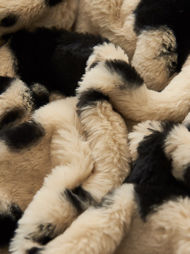 Printed rubbir fur with embossed design