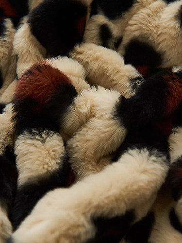 Printed rubbit fur with embossed design
